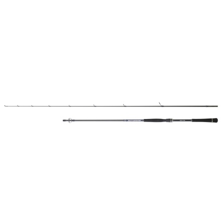 Salt monster sw spinning 2,30M 5-25 gram